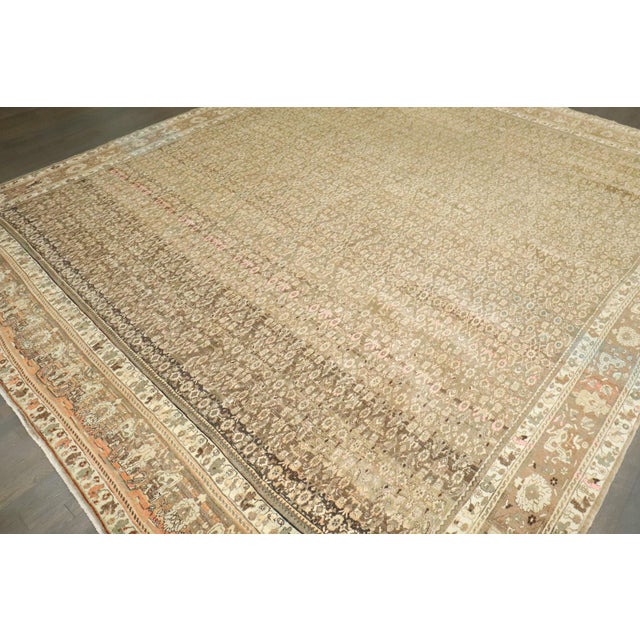 Bidjar Carpet rug no. j4920 For Sale - Image 11 of 11