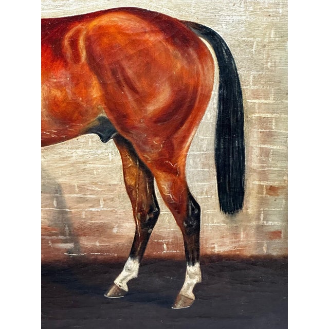 British Antique Oil Painting in the Manner of Sir Alfred Munnings C1912 Equine Portrait the Mint Chestnut Thoroughbred Stallion in Stable For Sale - Image 6 of 18