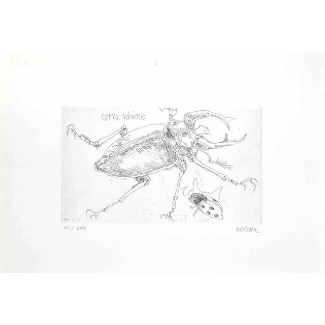 Insects is an etching realized by sergio barletta in 1974. Hand-signed in pencil on the lower right. Numbered on the lower...