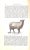 "How the Farm Pays the Experiences of Forty Years of Successful Farming and Gardening" 1884 Crozier, William and Henderson, Peter For Sale - Image 9 of 12