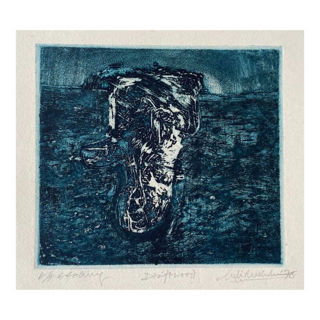 1978 Driftwood Modern Color Etching For Sale