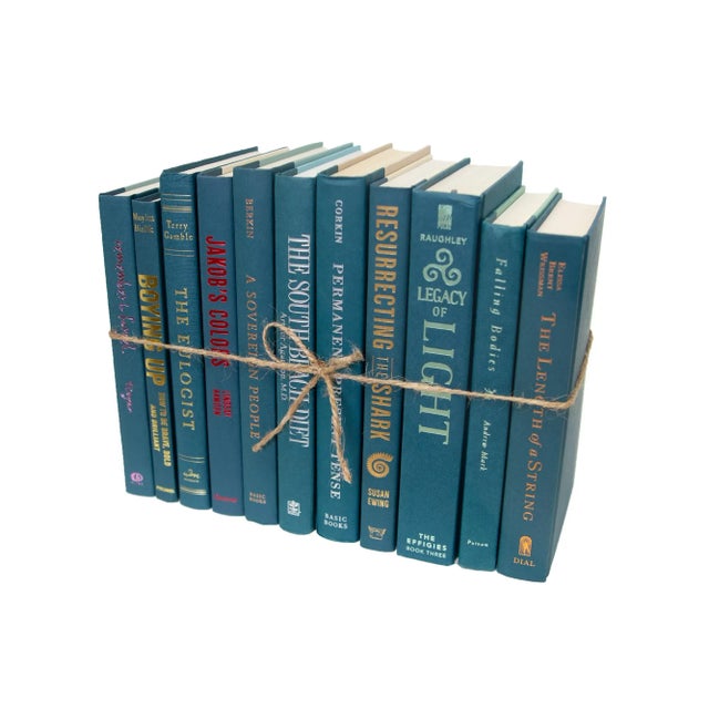 Booth & Williams Decorative Books - Blue Spruce Book Bundle - 1 Foot of Books For Sale - Image 4 of 4