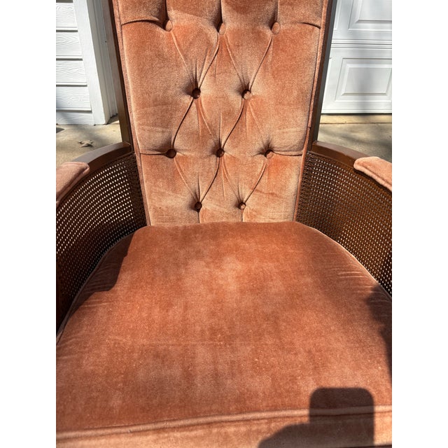 1960s Mid Century Modern Vintage Tufted Velvet and Cane Chairs, Set of Two For Sale In Dallas - Image 6 of 8