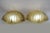 Amber Vintage Resin Shell Wall Sconces Hollywood Regency Style, Restored, 1970's For Sale - Image 8 of 13