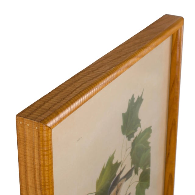 John Ruthven New York State Bluebird Print Chairish