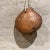 Brown Antique Rustic Cow Bell in Solid Oak, Unattributed, 1930s, Usa For Sale - Image 8 of 13