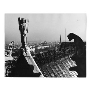 1971 View of Paris From Atop Notre Dame by Don Ware For Sale