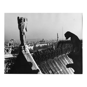 1971 View of Paris From Atop Notre Dame by Don Ware