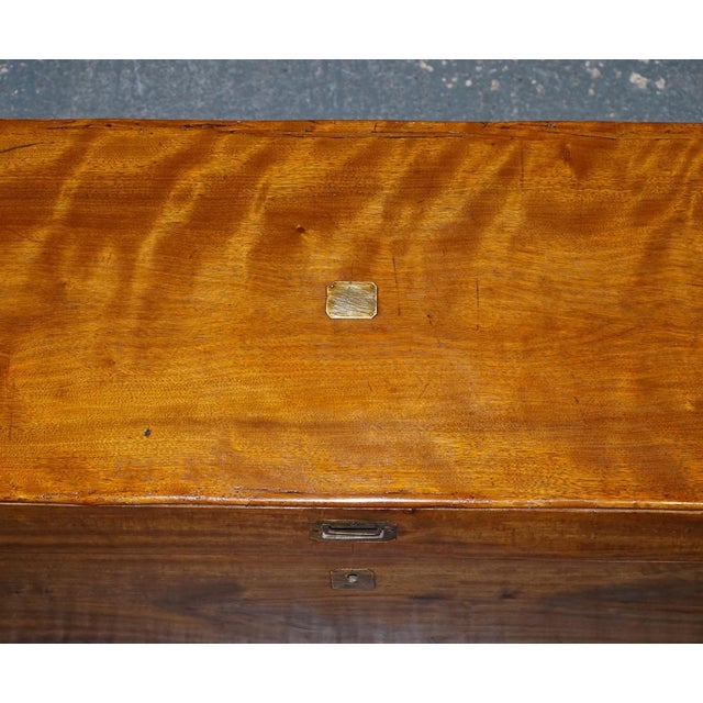 Antique English Camphor Wood Storage Trunk, 19th Century For Sale - Image 11 of 18