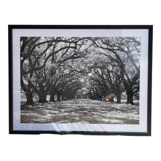 Contemporary Restoration Hardware “Oak Plantation” Framed Art – 38.5” X 50” For Sale