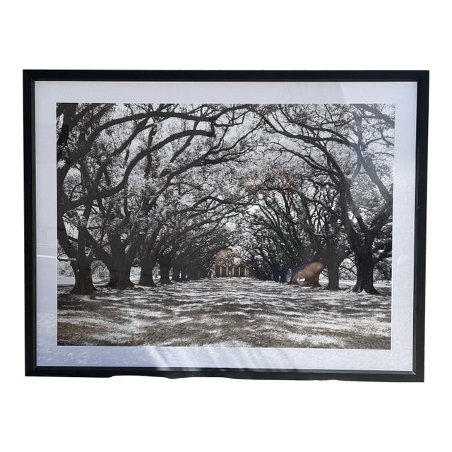 Contemporary Restoration Hardware “Oak Plantation” Framed Art – 38.5” X 50” For Sale