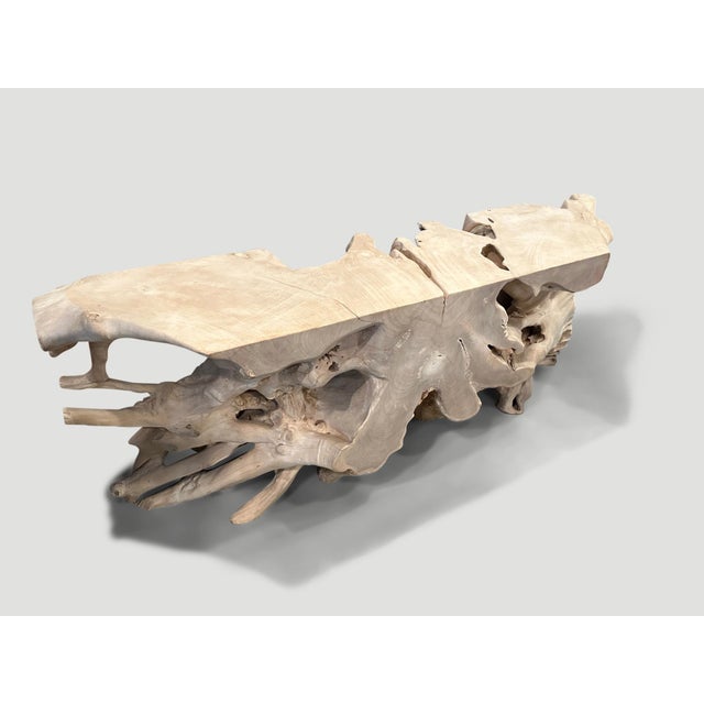 Andrianna Shamaris Impressive Bleached Teak Wood Root Console Table For Sale In New York - Image 6 of 6