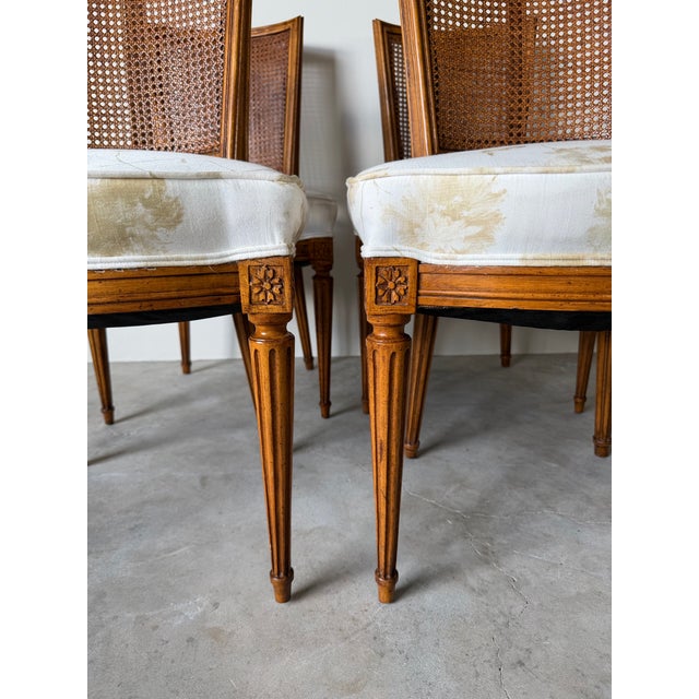 Vintage French Louis XVI Style Cane Back Dining Chairs – Set of 4 For Sale - Image 9 of 12