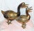 Pair of mid-twentieth century brass ducks. Larger measures 10.5" x 14" x 4.5". Smaller measures 9.5" x 8" x 3.5"