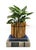 Charming vintage bamboo planter crafted from pencil bamboo rods arranged in a sculptural cylindrical form. The vertical...