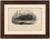 La Baleine Franche (Right Whale), Hand-Colored Engraving, 1840 An impressive hand-colored engraving portraying the...