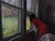 In "Spring Morning," a figure in a vivid red dress leans intently against a window, gazing out at a lush, green landscape...