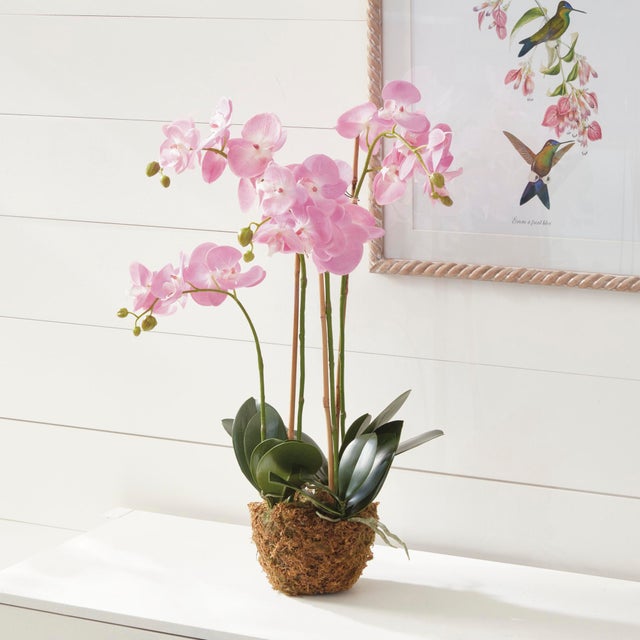 Contemporary Phalaenopsis Orchid Drop-In 30" For Sale - Image 3 of 6