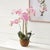 Contemporary Phalaenopsis Orchid Drop-In 30" For Sale - Image 3 of 6