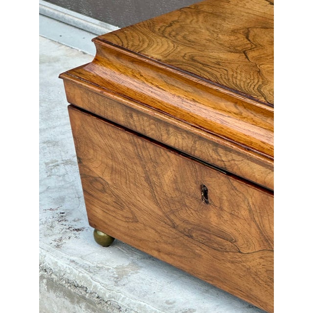 Wood Large English Regency Sarcophagus Shaped Rosewood Tea Caddy, Circa 1830 For Sale - Image 7 of 14