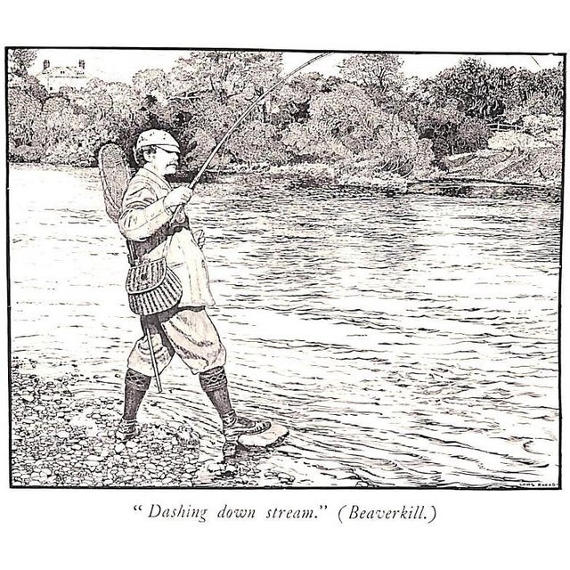 "The Speckled Brook Trout" 1902 Rhead, Louis For Sale - Image 10 of 12