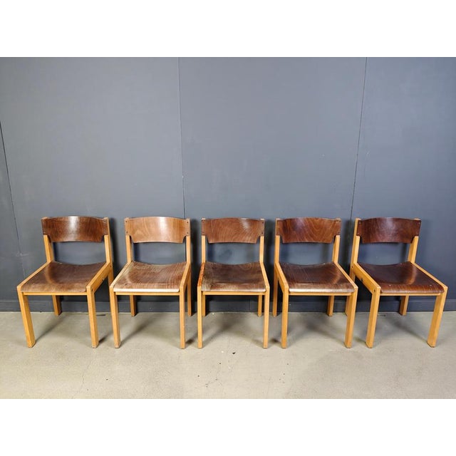 Wood Mid-Century Brown and Birch Stacking Chairs in the style of Sven Markelius, 1980, Set of 5 For Sale - Image 7 of 12
