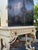 Chinoiserie 1920s Chinoiserie Black Lacquer & Gilt Cabinet on Painted Carved Stand For Sale - Image 3 of 7