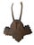1930s Roe Deer Trophy 148 Black Foret Antlers For Sale - Image 5 of 5