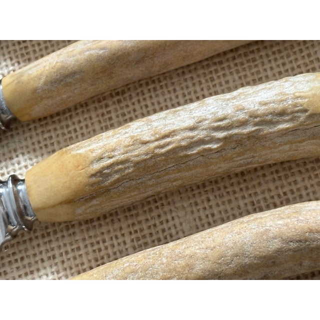 1930s Vintage Sheffield English Antler Stag Horn Handle Stainless Steak Knife Set For Sale - Image 5 of 7