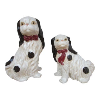 Staffordshire Style English Spaniels Cavalier Comforter Dogs For Sale