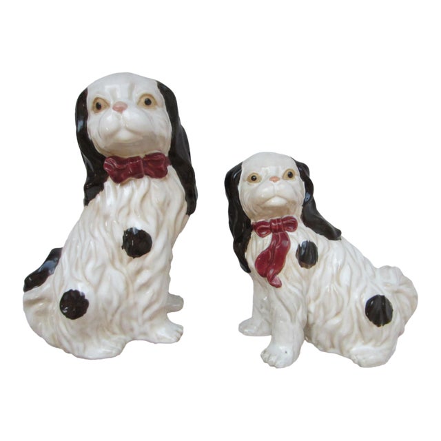 Staffordshire Style English Spaniels Cavalier Comforter Dogs For Sale