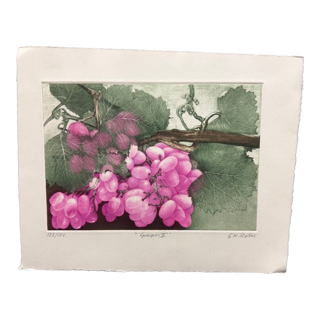 G H Rothe Grapes II Art Original Mezzotint Etching, Mint Condition For Sale