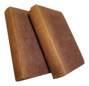Two Volumes 1854 the Homes of the New World by Bremer