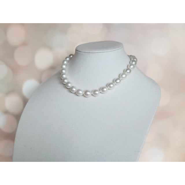 South Sea White Pearl Necklace With 14k Gold Clasp For Sale - Image 4 of 11