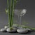 Graceful vintage Sasaki Noritake etched crystal champagne coupes featuring an elegant bamboo motif, produced in Japan...