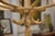 1970s Curved Beechwood Coat Rack, 1970s For Sale - Image 5 of 9