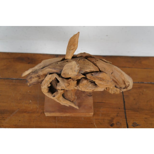 Brown Vintage Abstract Modern Teak Driftwood Horse Head Bust Sculpture Statue For Sale - Image 8 of 10