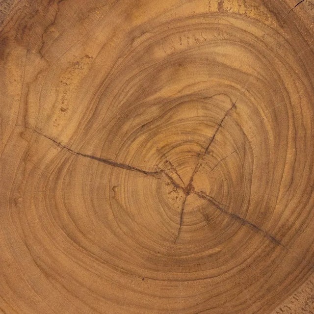 Brown Four Hands Jovie Outdoor End Table, Natural Teak For Sale - Image 8 of 12