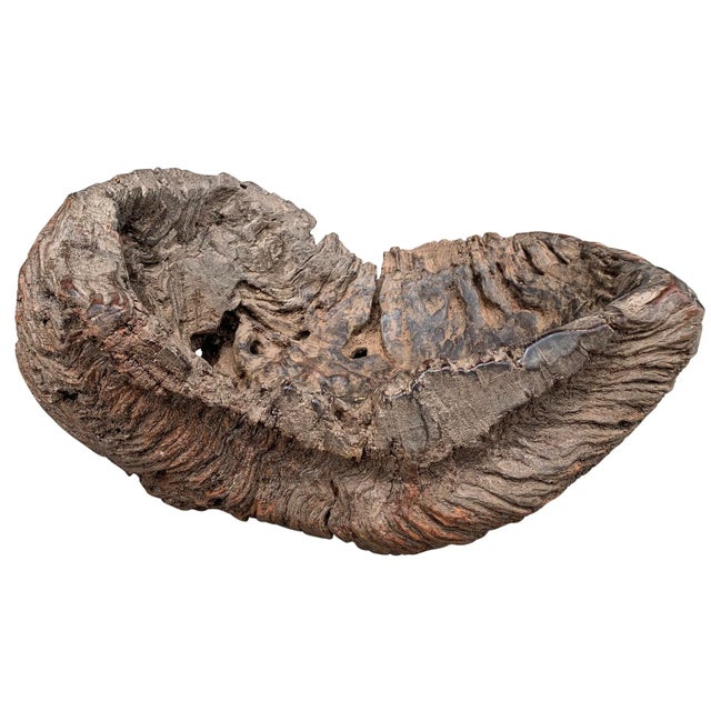 Farmhouse Massive Burl Wood Bowl For Sale - Image 3 of 12