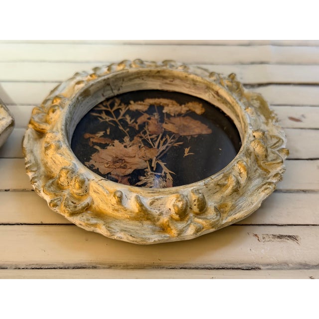 Ivory Vintage Set of Two Botanicals, Framed For Sale - Image 8 of 9