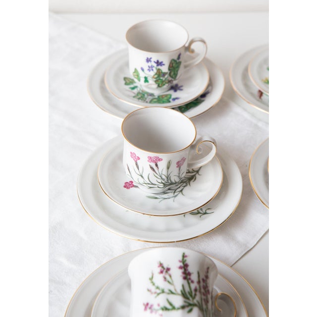 Coffee and Dessert from Tettau, 1976, Set of 28 For Sale - Image 12 of 18