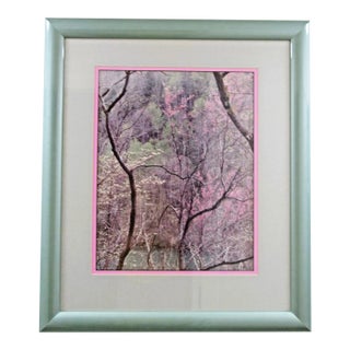 1990s Art Wolfe Photograph Print of Cherry Blossoms Matted and Framed For Sale