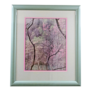 1990s Art Wolfe Photograph Print of Cherry Blossoms Matted and Framed