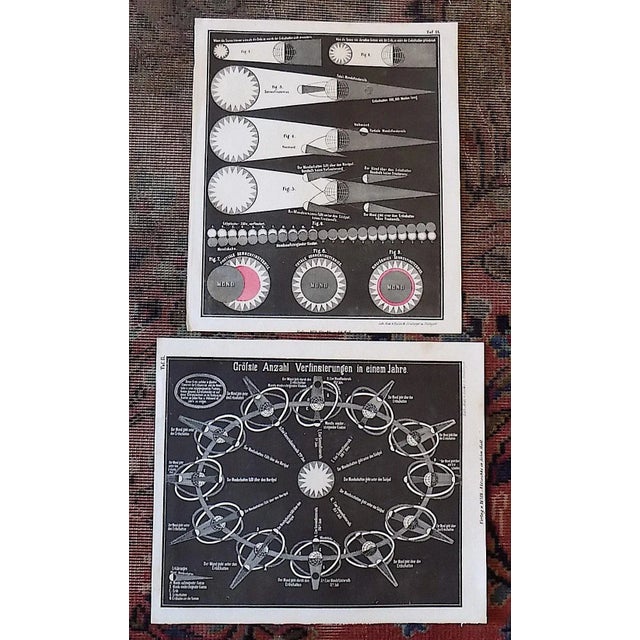19th Century Astronomical Lithographs-Celestial Maps/Charts - a Pair For Sale - Image 4 of 4