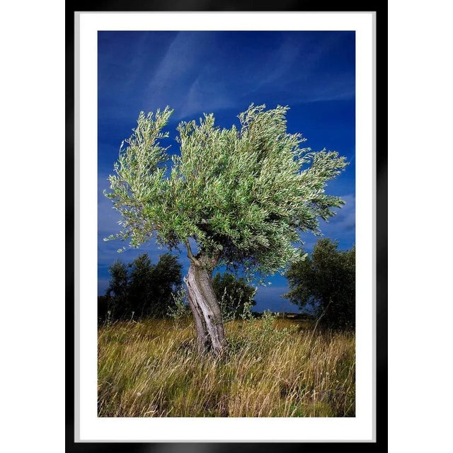 OIivier - Signed limited edition archival pigment print edition of 5 or 10, depending on the photography and size Signed +...