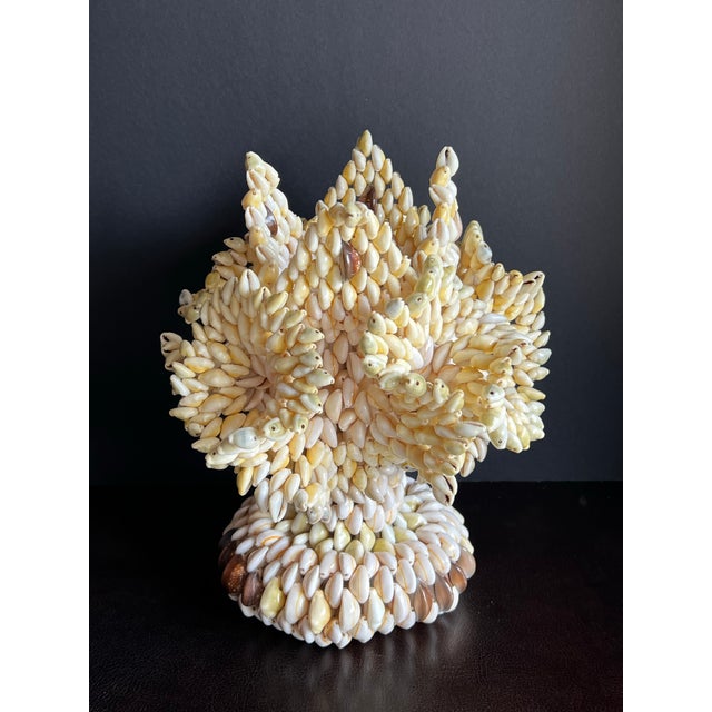 Vintage South Pacific Cowrie Shell Vase For Sale - Image 12 of 12