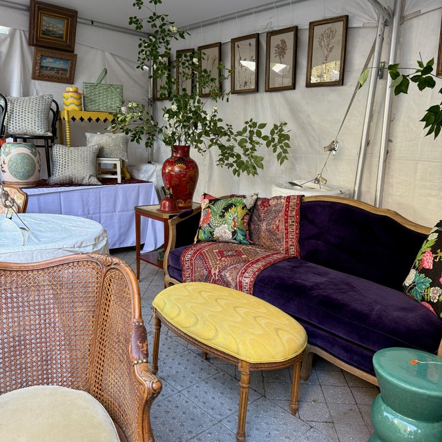 Silvia Sofa in Schumacher Velvet For Sale - Image 10 of 10