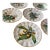 Antique Italian Ceramic Fruit Plates - Set of 6 For Sale
