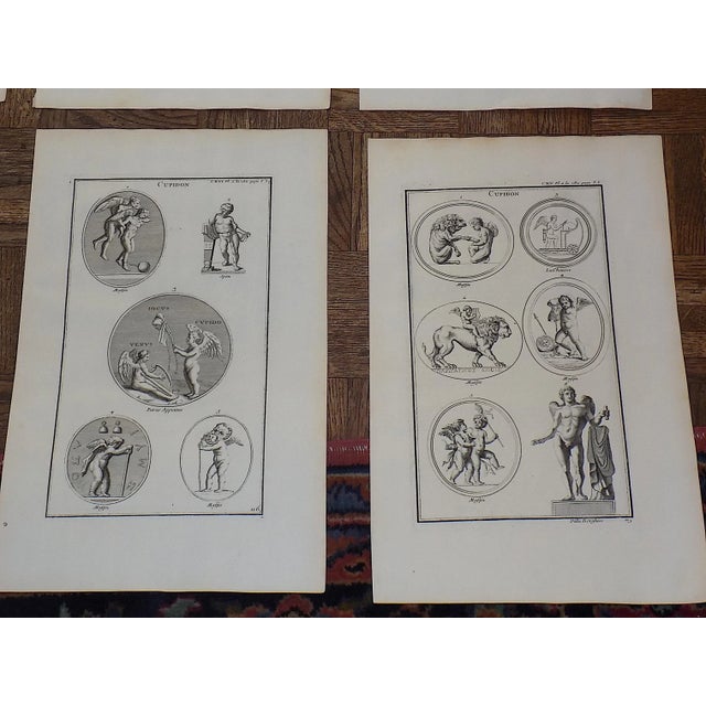Late 18th Century Antique 18th Century Neo-Classical Copperplate Engravings - Set of 12 For Sale - Image 5 of 8