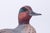 Pair Ma Hai Feng Duck Bookends For Sale In Philadelphia - Image 6 of 18